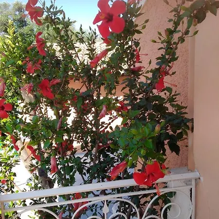 Apartament Artemis *